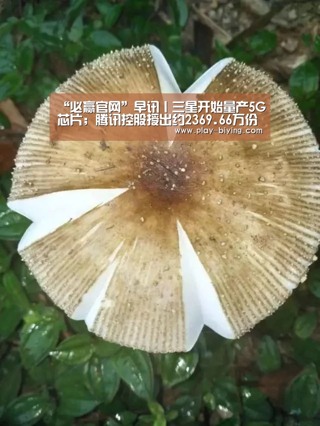 必赢官网