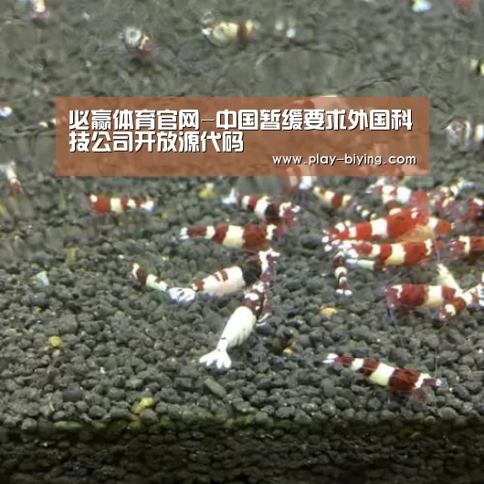 必赢体育官网