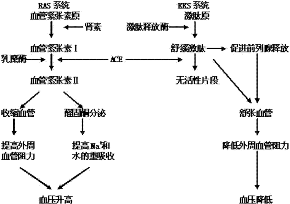 马斯克:SpaceX龙飞船今年二季度运送宇航员前往国际空间站-必赢体育官网(图3) 必赢官网