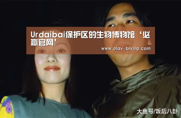 必赢体育官网