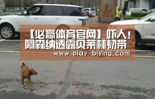必赢体育官网