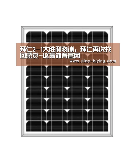 必赢体育官网
